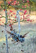 BABYLON FLOWERS, OXFORDSHIRE - NATURAL COPPER WIRE WREATH IN MAPLE TREE, HYDRANGEAS, CONTORTED HAZEL, CATKINS, TEASELS, DIPSACUS FULLONUM, LOTUS SEED HEADS