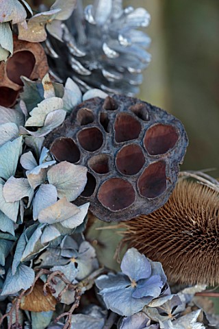 BABYLON_FLOWERS_OXFORDSHIRE__NATURAL_COPPER_WIRE_WREATH_ON_BENCH_RIBBON_HYDRANGEA_TEASELS_DIPSACUS_F