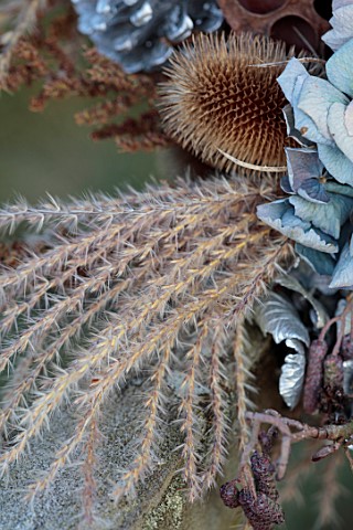 BABYLON_FLOWERS_OXFORDSHIRE__NATURAL_COPPER_WIRE_WREATH_ON_BENCH_RIBBON_HYDRANGEA_TEASELS_DIPSACUS_F