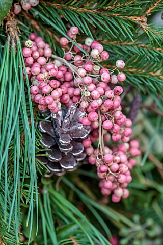 BABYLON_FLOWERS_OXFORDSHIRE__NATURAL_WREATH_DETAIL_OF_PINK_PEPPERCORNS_PINE_CONES_WINTER_CHRISTMAS_D