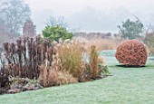 SILVER STREET FARM, DEVON. DESIGNER ALASDAIR CAMERON - WINTER, DECEMBER, FROST, FOG, MIST, CONTAINER, LAWN, CLIPPED TOPIARY BEECH, BOREDERS, ASTERS, MISCANTHUS