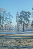 MORTON HALL, WORCESTERSHIRE: THE MAIN DRIVE AND PARKLAND IN DECEMBER, JANUARY, SNOW, FROST, WINTER, MEADOW, TREES, FOLLY, FOLLIES, BUILDINGS