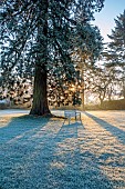 MORTON HALL, WORCESTERSHIRE: THE MAIN DRIVE AND PARKLAND IN DECEMBER, JANUARY, SNOW, FROST, WINTER, MEADOW, TREES, BENCHES, SEATS, SUNRISE, SEQUOIADENDRON GIGANTEA