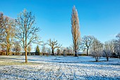 MORTON HALL, WORCESTERSHIRE: THE MAIN DRIVE AND PARKLAND IN DECEMBER, JANUARY, SNOW, FROST, WINTER, MEADOW, BUILDING, FOLLY, FOLLIES, POPULUS NIGRA ITALICA, MONOPTEROS