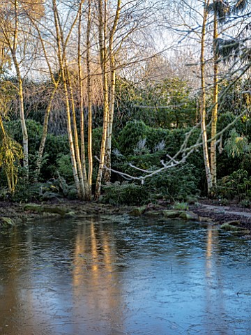 MORTON_HALL_WORCESTERSHIRE_WINTER_FROST_STROLL_GARDEN_LOWER_POND_POOL_WATER_REFLECTED_REFLECTIONS_BA