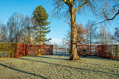 MORTON_HALL_WORCESTERSHIRE_MEADOW_BEECH_HEDGES_HEDGING_GATES_WINTER_JANUARY