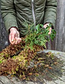BABYLON FLOWERS, OXFORDSHIRE - TYING A BUNDLE OF MIXED FRESH EVERGREENS FOR COPPER SPICE WREATH. IVY, MONTEREY CYPRESS, GIANT REDWOOD - ONTO MOSS WREATH