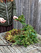 BABYLON FLOWERS, OXFORDSHIRE - TYING A BUNDLE OF MIXED FRESH EVERGREENS FOR COPPER SPICE WREATH. IVY, MONTEREY CYPRESS, GIANT REDWOOD - ONTO MOSS WREATH