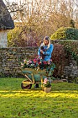 GOLD COLLECTION HELLEBORES - GIRL HOLDING CAT ON LAWN WITH BLUE WOODEN WHEELBARROW FILLED WITH HELLEBORES, HELLEBORUS, JANUARY, WINTER