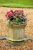 THE MANOR HOUSE, STEVINGTON, BEDFORDSHIRE: DESIGNER KATHY BROWN - STONE CONTAINERS, POTS PLANTED WITH RED, PINK FLOWERS OF HELLEBORES