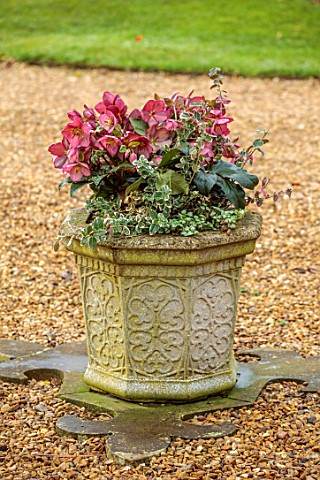 THE_MANOR_HOUSE_STEVINGTON_BEDFORDSHIRE_DESIGNER_KATHY_BROWN__STONE_CONTAINERS_POTS_PLANTED_WITH_RED