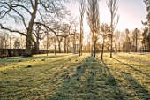 MORTON HALL GARDENS, WORCESTERSHIRE: THE MEADOW AT DAWN, SUNRISE, FROST, CROCUS, MARCH