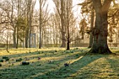 MORTON HALL GARDENS, WORCESTERSHIRE: THE MEADOW AT DAWN, SUNRISE, FROST, CROCUS, MARCH
