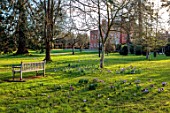 MORTON HALL GARDENS, WORCESTERSHIRE: MEADOWS, LAWN, PURPLE, WHITE FLOWERS OF CROCUS, GRASS, MEADOWS, BULBS, WOODEN SEATS, BENCHES