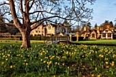 HEVER CASTLE & GARDENS, KENT: DAFFODILS, NARCISSUS, BESIDE LAKE, POND, REFLECTIONS, MARCH, REFLECTED, TREES, BUILDINGS, SPRING, BULBS, WOODEN BRIDGE