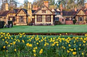 HEVER CASTLE & GARDENS, KENT: DAFFODILS, NARCISSUS, BESIDE LAKE, MARCH, BUILDINGS, SPRING, BULBS