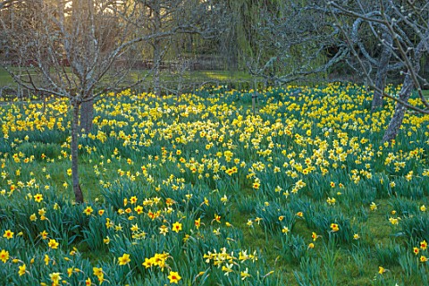 HEVER_CASTLE_KENT