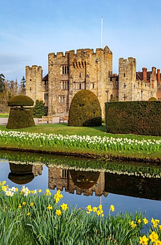 HEVER_CASTLE__GARDENS_KENT_LAKE_POND_DAFFODILS_NARCISSUS_ICE_FOLLIES_SPRING_MARCH_WATER_REFLECTIONS_