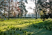 MORTON HALL GARDENS, WORCESTERSHIRE: PATH THROUGH PARKLAND, NARCISSUS, DAFFODILS, APRIL, SPRING, BULBS, MEADOWS, LAWN, GRASS, TREES, FOLLY, FOLLIES