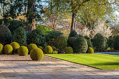 MORTON_HALL_WORCESTERSHIRE_FRONT_TERRACE_OF_HALL_SPRING_APRIL_CLIPPED_TOPIARY_BOX_BALLS_LAWN