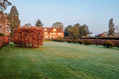 LOWER_BOWDEN_MANOR_BERKSHIRE_SPRING_APRIL_SUNRISE_MORNING_ENGLISH_COUNTRY_GARDEN__LAWN_AND_BEECH_HED