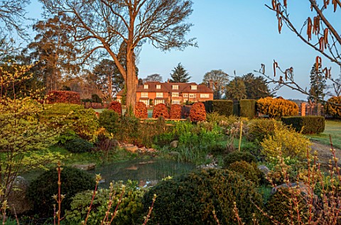 LOWER_BOWDEN_MANOR_BERKSHIRE_SPRING_APRIL_SUNRISE_MORNING_ENGLISH_COUNTRY_GARDEN__YEW_POND_CLIPPED_B