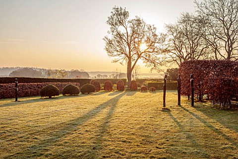LOWER_BOWDEN_MANOR_BERKSHIRE_SPRING_APRIL_SUNRISE_MORNING_MAIN_LAWN_BEECH_YEW_HEDGES_HEDGING_CLIPPED