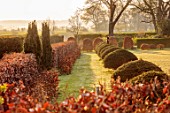 LOWER BOWDEN MANOR, BERKSHIRE: SPRING, APRIL, SUNRISE, MORNING, MAIN LAWN, BEECH, YEW HEDGES, HEDGING, CLIPPED YEW, SCULPTURE BY LAURENCE BONNEL