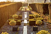 LOWER BOWDEN MANOR, BERKSHIRE: SPRING, APRIL, SUNRISE, MORNING, THE RILL, WATER, CANAL, VERSAILLES CONTAINERS, STANDARD EUONYMUS BRAVO