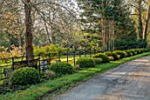 LOWER BOWDEN MANOR, BERKSHIRE: SPRING, APRIL, MAIN DRIVE, LLAWN, CLIPPED BOX BALLS, IRON RAILINGS, FENCES, FENCING
