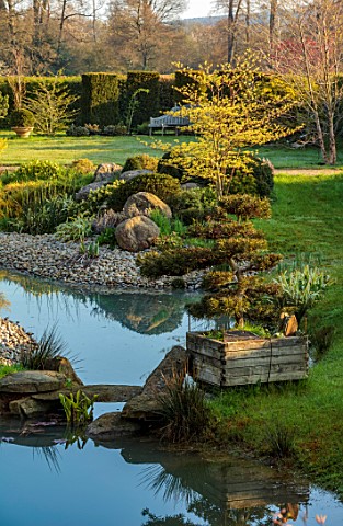 LOWER_BOWDEN_MANOR_BERKSHIRE_SPRING_APRIL_POND_POOL_YEW_BALLS_CLOUD_PRUNED_TREE_IN_WOODEN_BOX_CONTAI