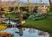 LOWER BOWDEN MANOR, BERKSHIRE: SPRING, APRIL, POND, POOL, CLOUD PRUNED TREE, WOODEN BOX, CONTAINER, REFLECTIONS, REFLECTED, AMELANCHIER LAMARCKII
