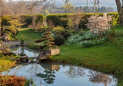 LOWER_BOWDEN_MANOR_BERKSHIRE_SPRING_APRIL_POND_POOL_CLOUD_PRUNED_TREE_WOODEN_BOX_CONTAINER_REFLECTIO